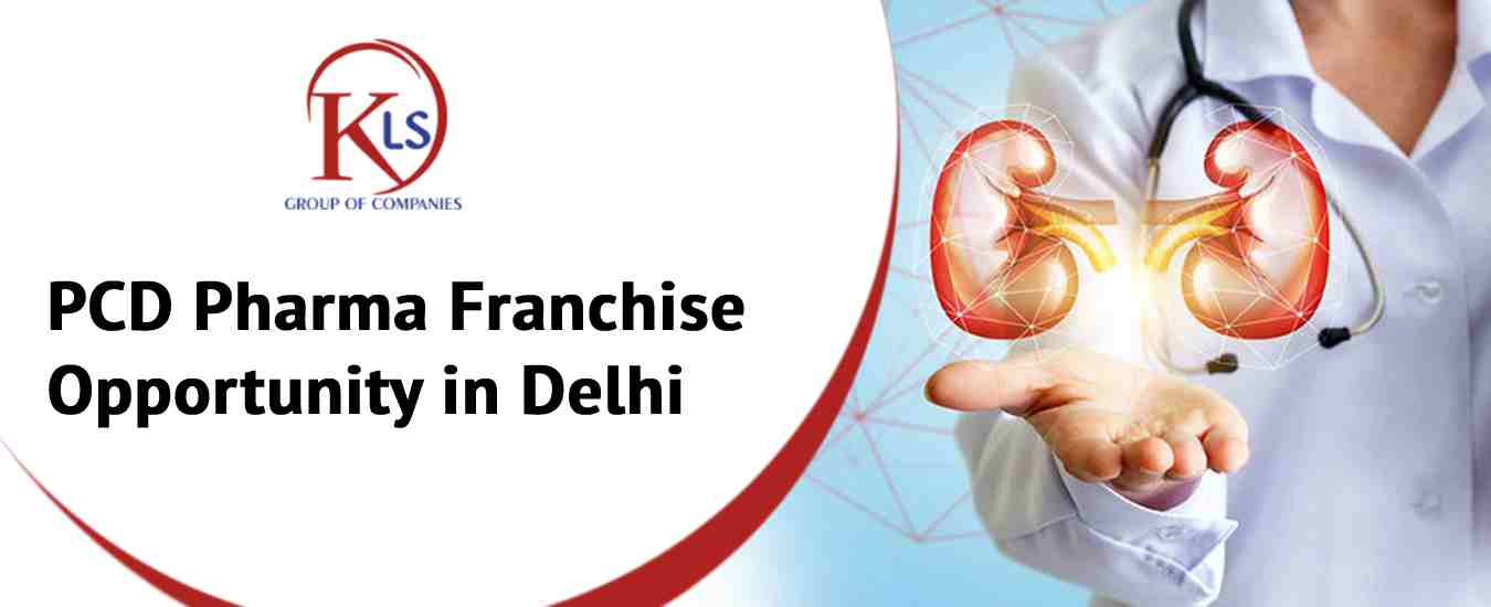 PCD Pharma Franchise Opportunity in Delhi